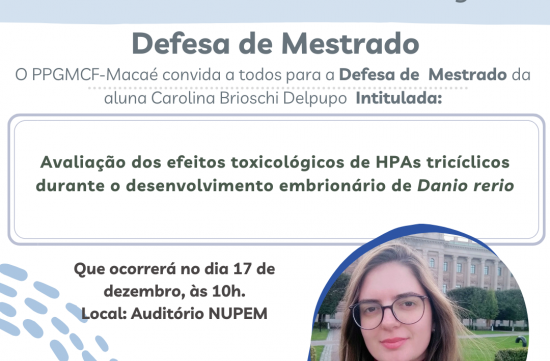 Defesa de Mestrado - Caroline Brioschi Delpupo