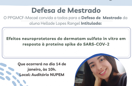 Defesa de Mestrado - Hellade Lopes Rangel