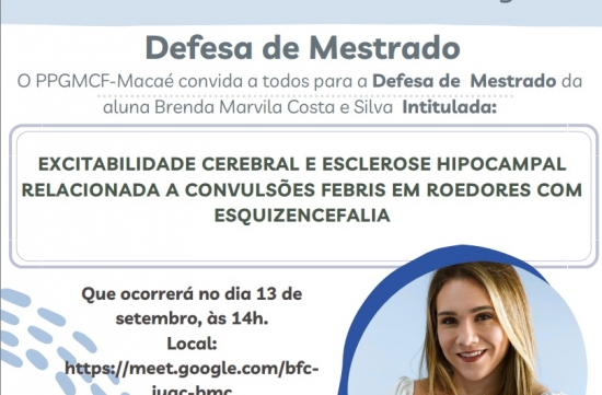 Defesa de Mestrado Brenda Marvila Costa e Silva